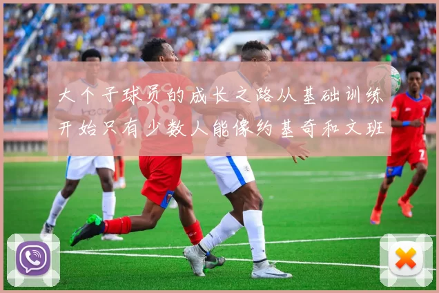 大个子球员的成长之路从基础训练开始只有少数人能像约基奇和文班那样成功
