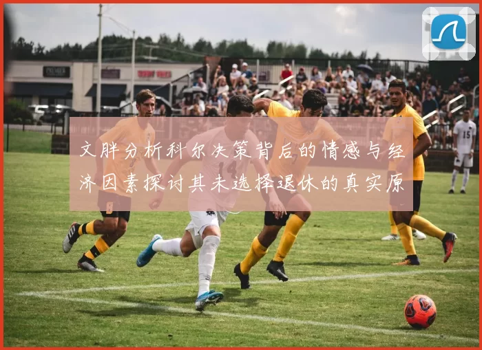 文胖分析科尔决策背后的情感与经济因素探讨其未选择退休的真实原因